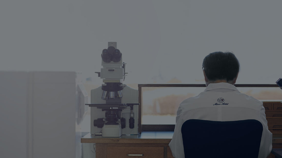 The Micro Artist Studio
